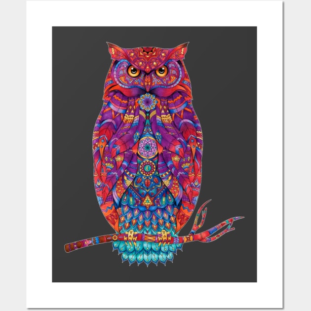 Colorful animal owl Wall Art by TheDesigNook